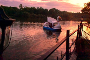 Pelican Lake